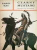 Czarny Mustang